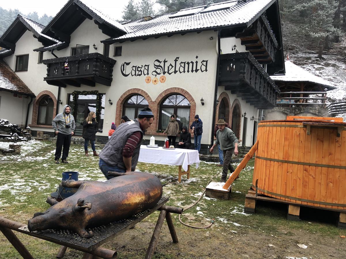 Casa Stefania 호텔 Tălmaciu 외부 사진